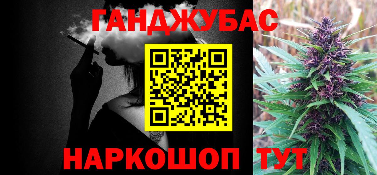 Бошки Шишки планчик Тосно